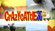 Crazy Cattle 3D